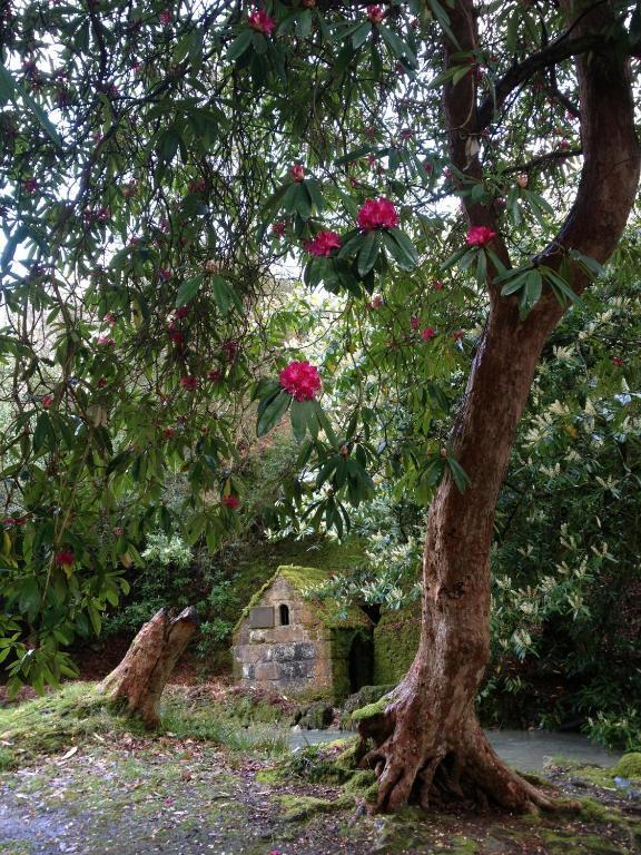 Hotel The Waterwheel 4*